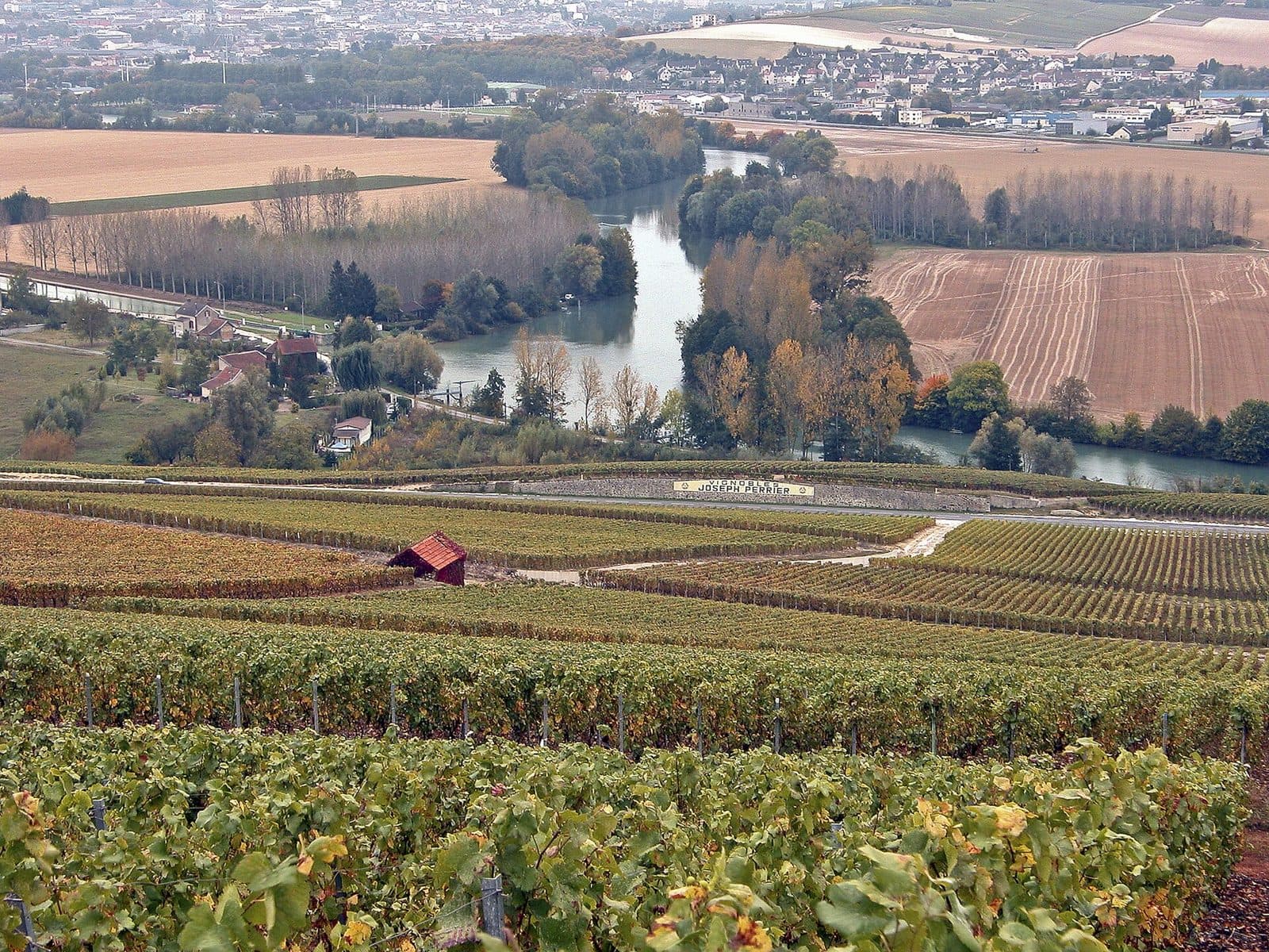 Champagne vineyards above the Marne