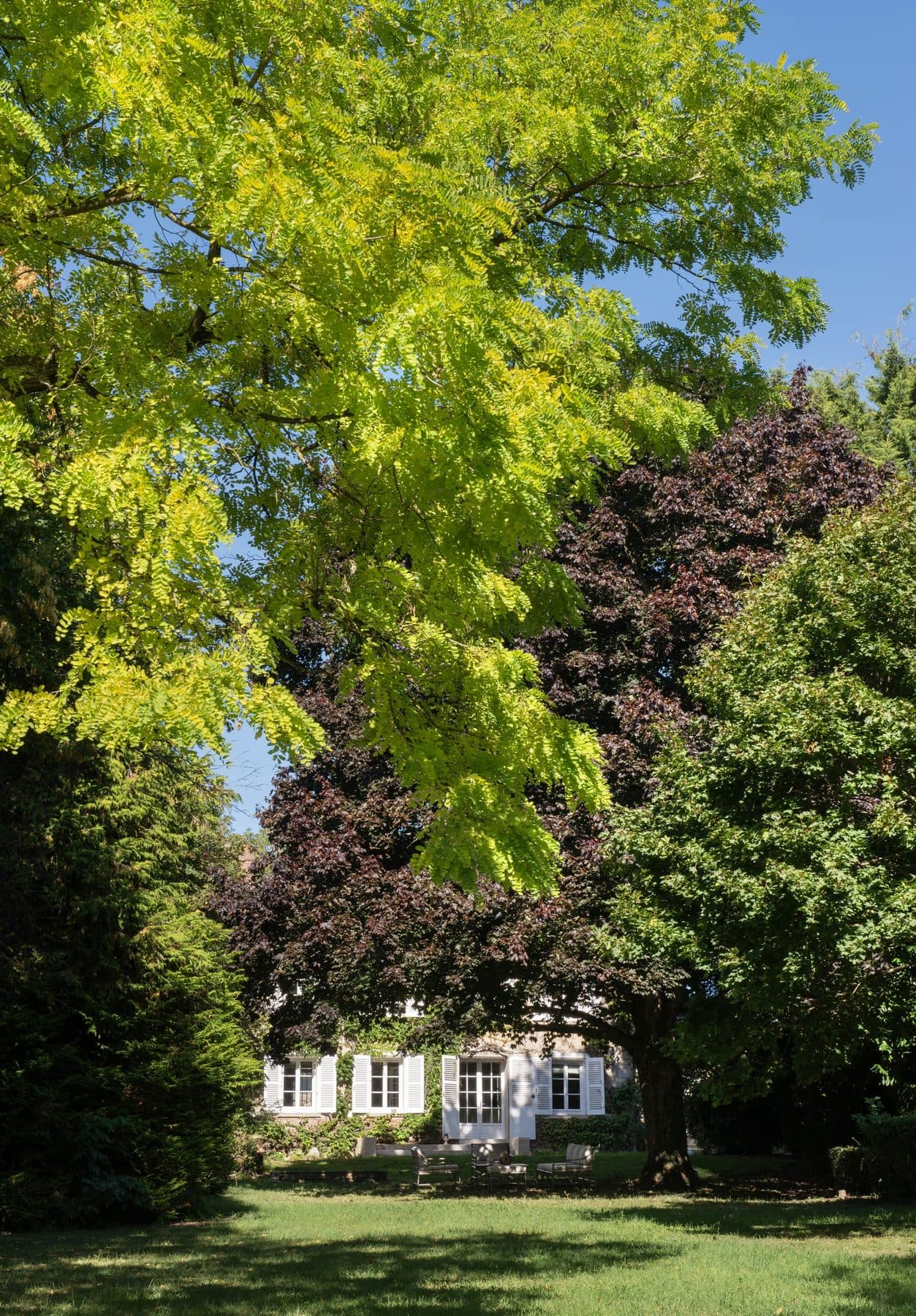 Le parc arboré et clos du domaine, à Vendrest en Seine-et-Marne